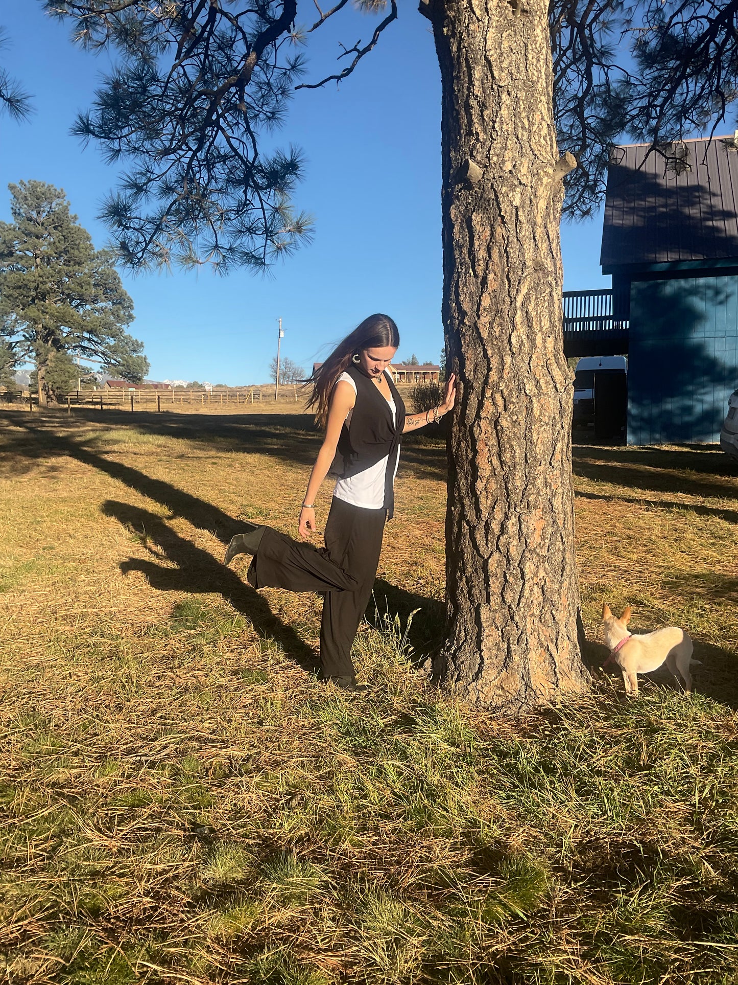 Jane Pant in Brushed Black