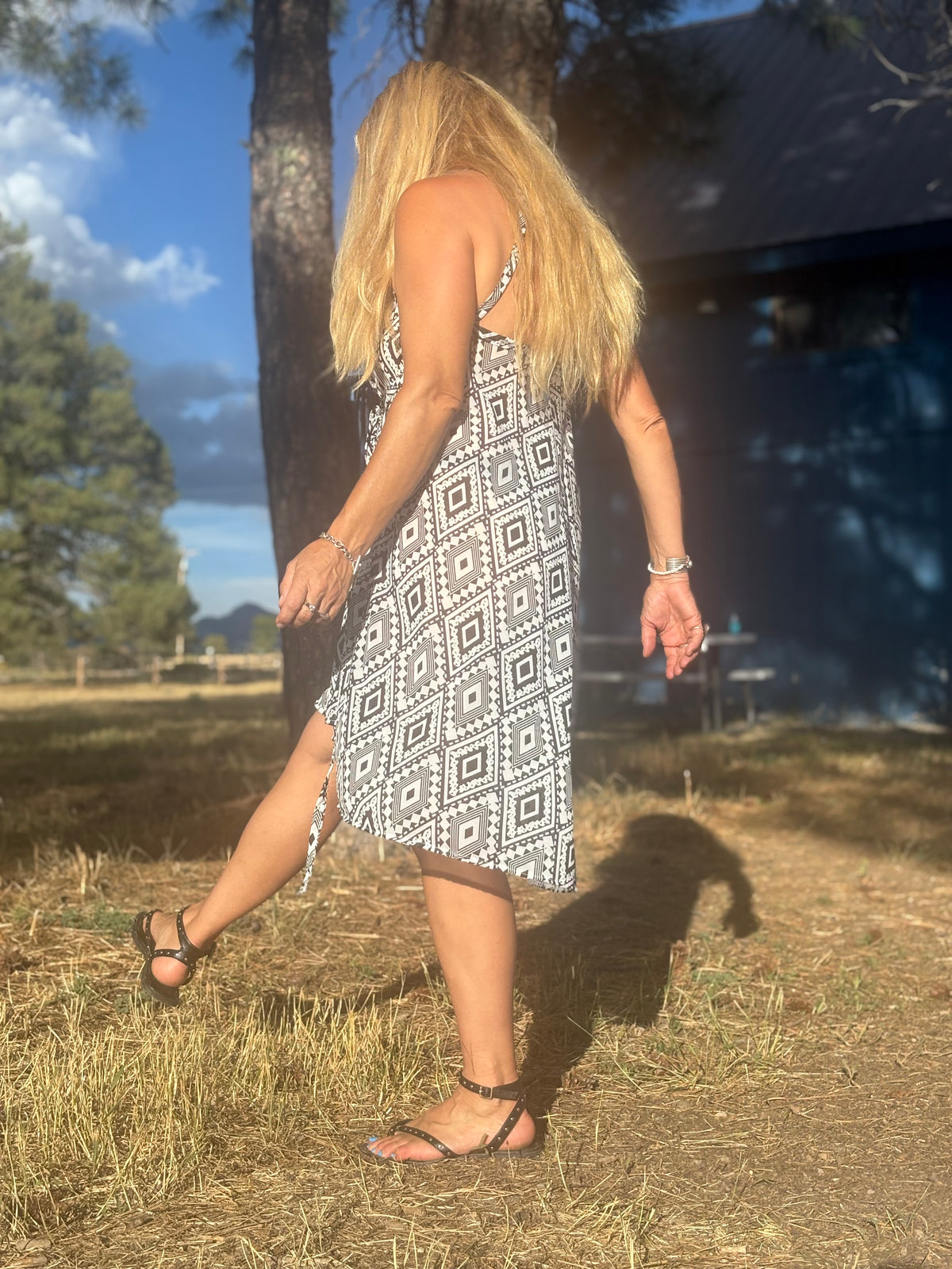 Camelion Skirt in Aztec