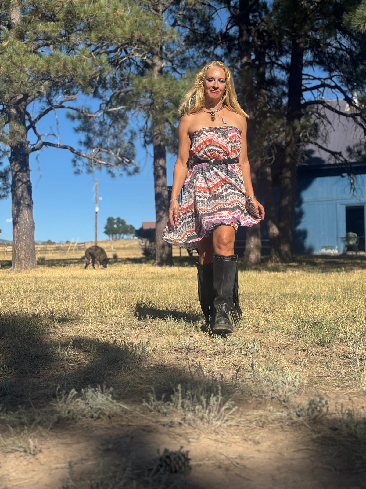 Camelion Skirt in Santa Fe