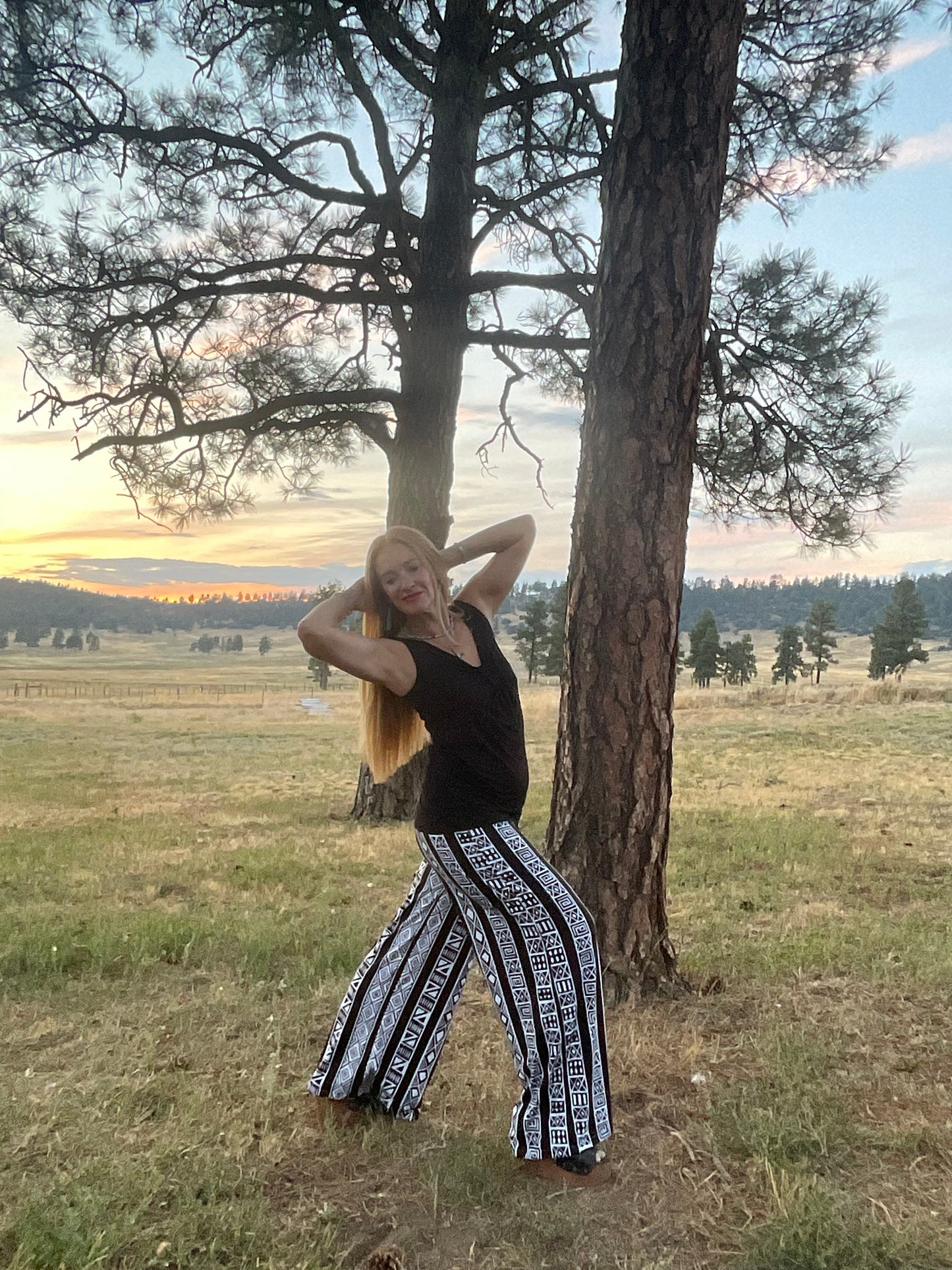 Jane Pant in Aztec