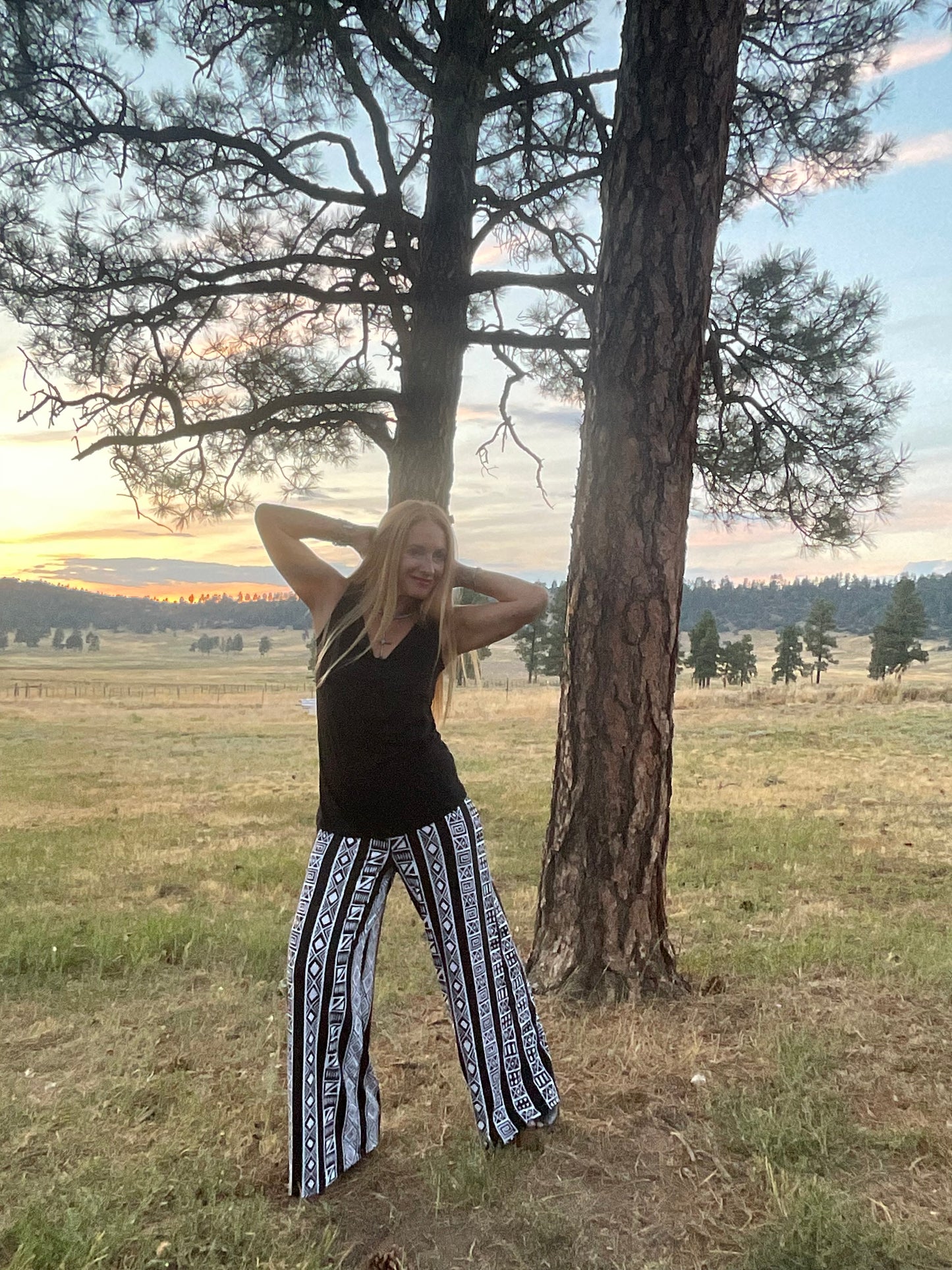 Jane Pant in Aztec