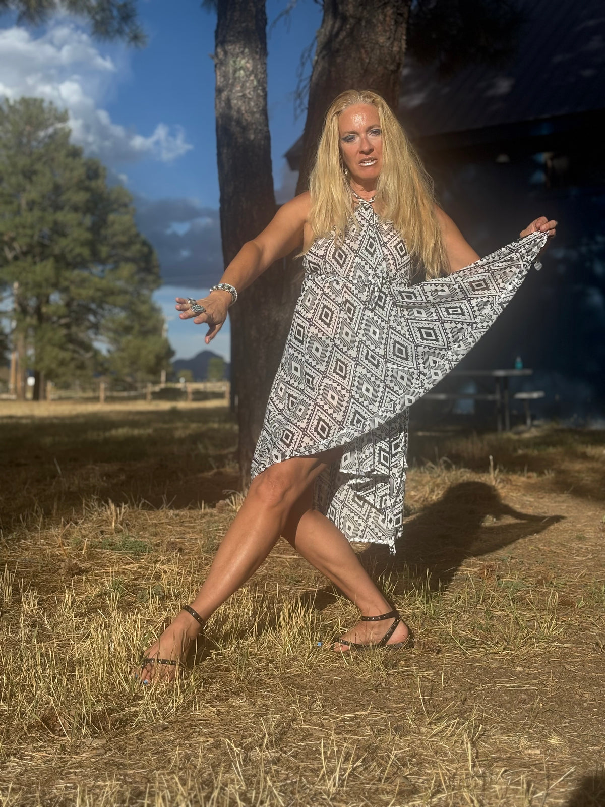 Camelion Skirt in Aztec