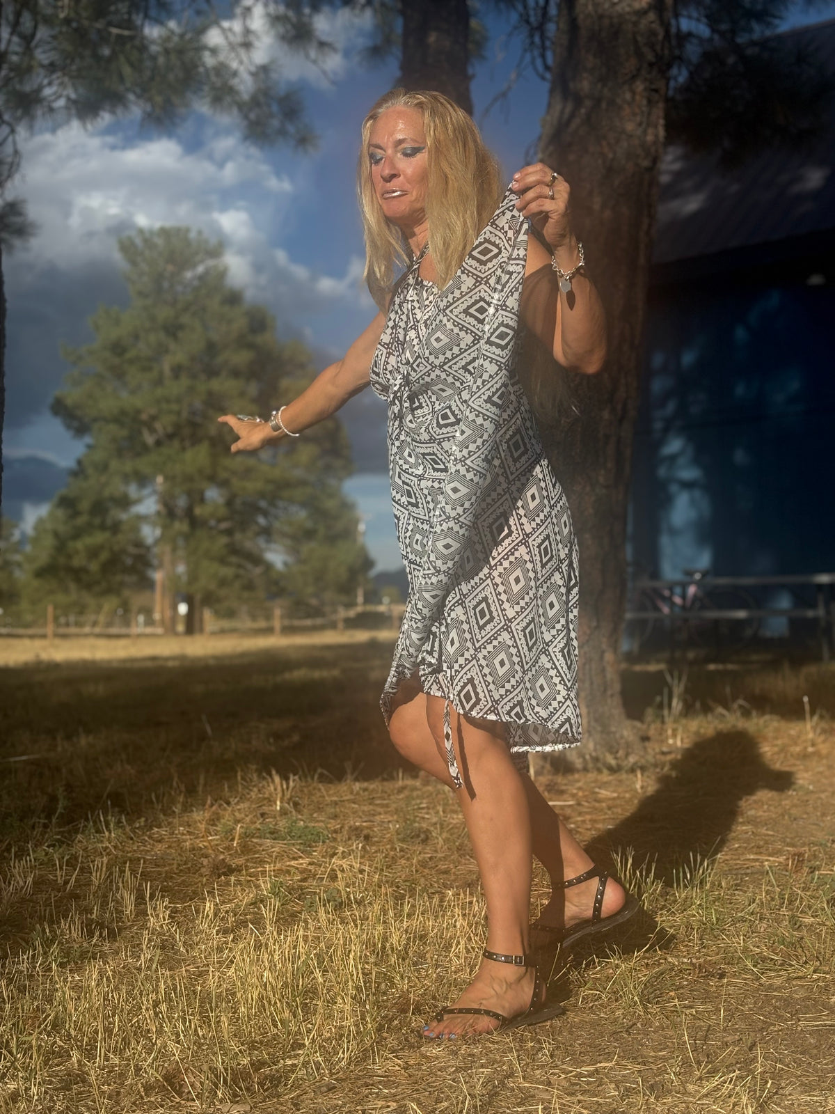 Camelion Skirt in Aztec